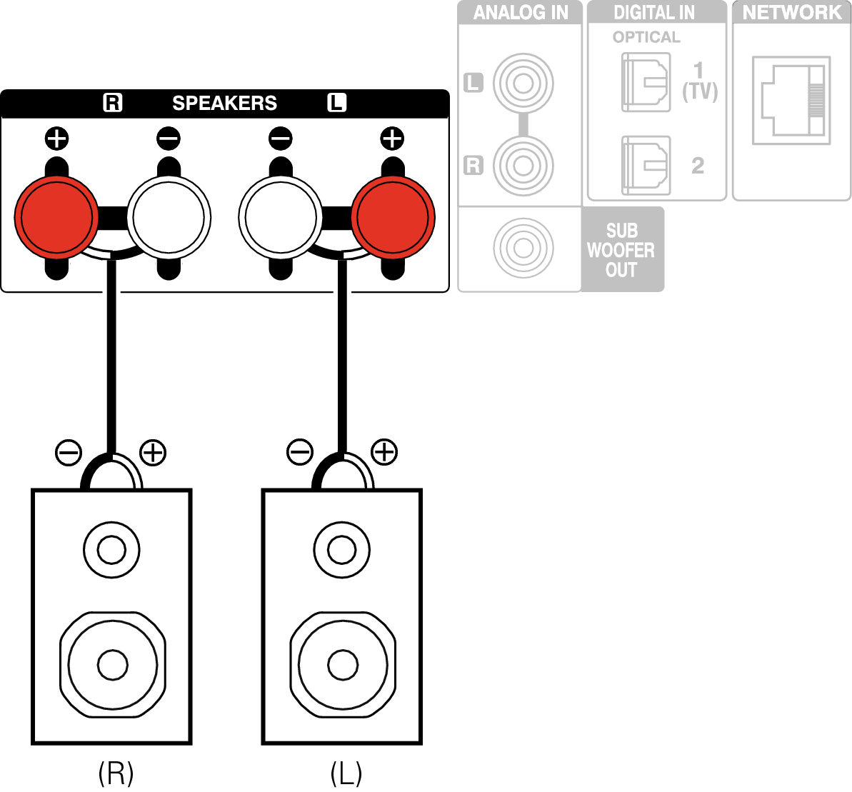 Conne Common SP RCDN11DAB